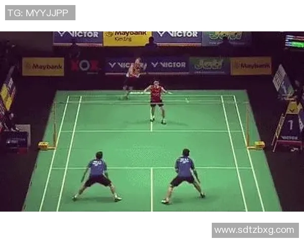 武汉羽毛球队区域防守分析与战术得失探讨