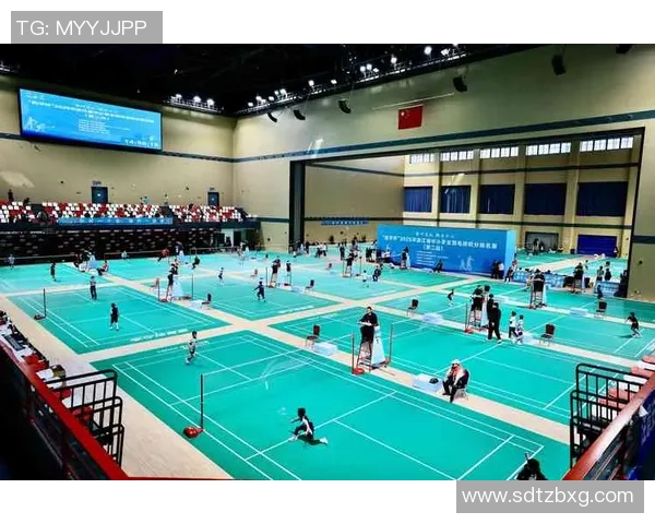 武汉羽毛球队整体压制革新引领羽坛新风潮的深度解析与展望