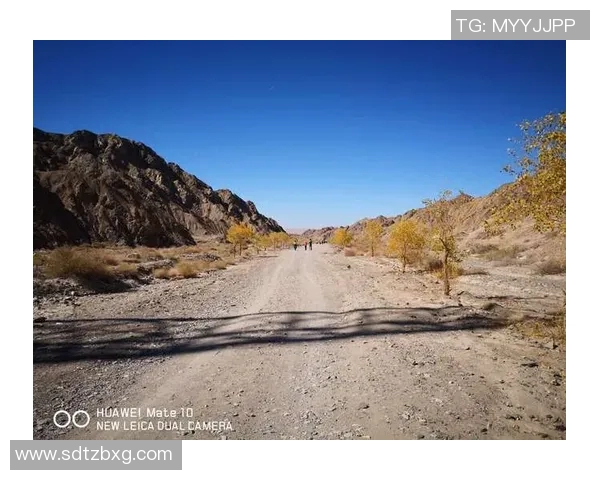 英超对话周秀英探讨网球生涯与职业挑战的精彩旅程