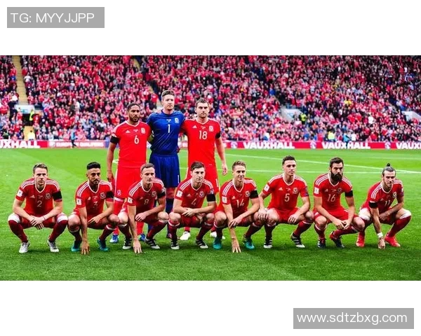 体育实时数据武汉足球队实力排名创新高引发球迷热议展现崭新风貌与未来潜力